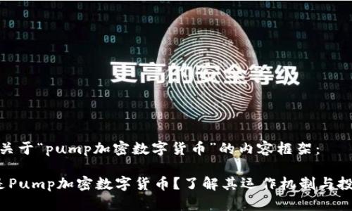 以下是关于“pump加密数字货币”的内容框架：

 什么是Pump加密数字货币？了解其运作机制与投资风险