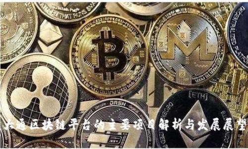 大通区块链平台的主要项目解析与发展展望
