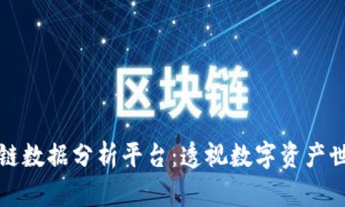 全球区块链数据分析平台：透视数字资产世界的未来