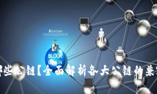 tpwallet支持哪些公链？全面解析各大公链的兼容性与应用前景