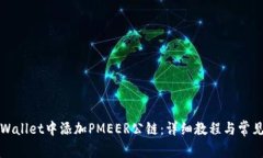 如何在TPWallet中添加PMEER公