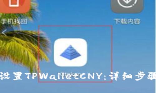 如何设置TPWalletCNY：详细步骤指南
