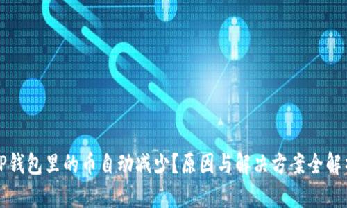 TP钱包里的币自动减少？原因与解决方案全解析