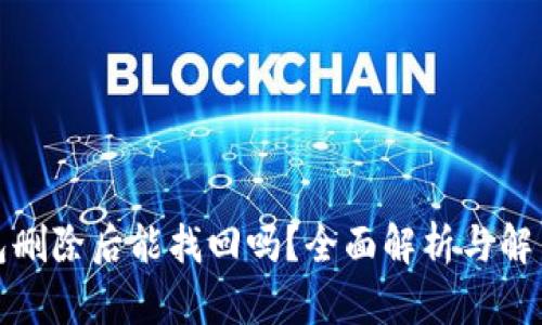 TP钱包删除后能找回吗？全面解析与解决方案
