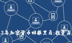 揭示2023年加密货币回报黑