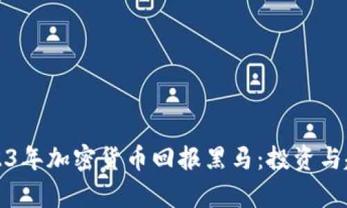 揭示2023年加密货币回报黑马：投资与趋势分析