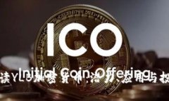 全面解读YLB加密货币：潜