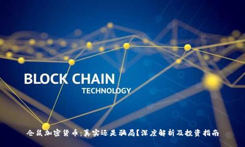 仓鼠加密货币：真实还是骗局？深度解析及投资指南