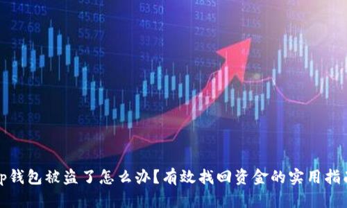 tp钱包被盗了怎么办？有效找回资金的实用指南