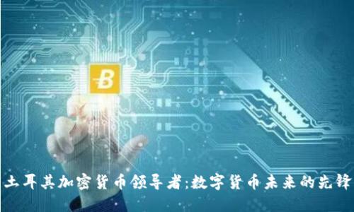 土耳其加密货币领导者：数字货币未来的先锋
