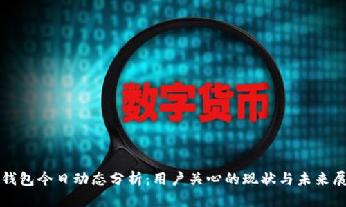 TP钱包今日动态分析：用户关心的现状与未来展望