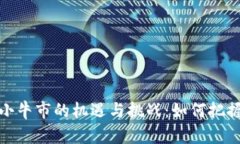 加密货币小牛市的机遇与