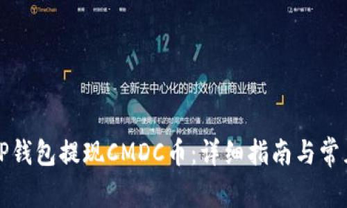 如何通过TP钱包提现CMDC币：详细指南与常见问题解答