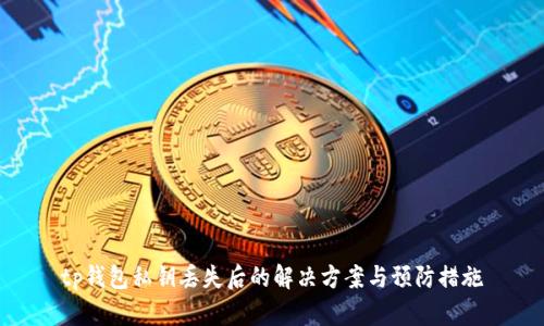 tp钱包私钥丢失后的解决方案与预防措施