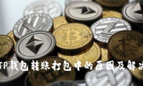 解密TP钱包转账打包中的原因及解决方案