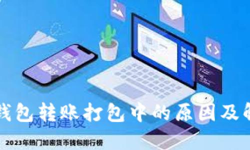 解密TP钱包转账打包中的原因及解决方案