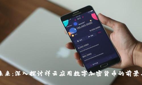 云端未来：深入探讨祥云应用数字加密货币的前景与挑战