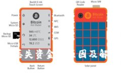 TP钱包丢失资金的原因及解