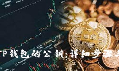 如何找回TP钱包的公钥：详细步骤与解决方案
