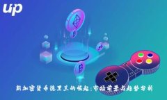 新加密货币德黑兰的崛起