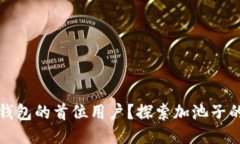 如何成为TP钱包的首位用户？探索加池子的机遇与