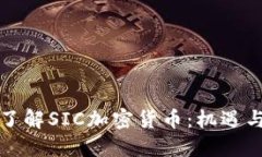 深入了解SIC加密货币：机