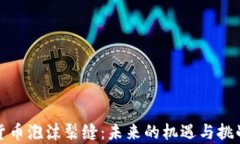 加密货币泡沫裂缝：未来的机遇与挑战分析
