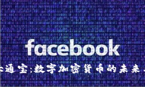 探索大通宝：数字加密货币的未来与挑战