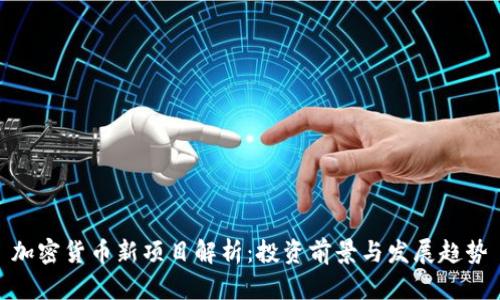 加密货币新项目解析：投资前景与发展趋势