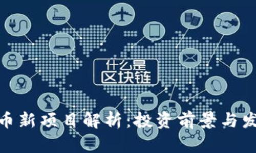 加密货币新项目解析：投资前景与发展趋势