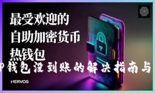 火币提币到TP钱包没到账的解决指南与常见问题分析