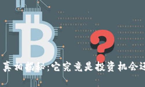 加密货币真相揭秘：它究竟是投资机会还是骗局？