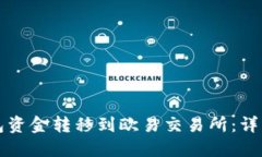 如何将TP钱包资金转移到欧
