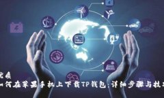 优质  如何在苹果手机上下