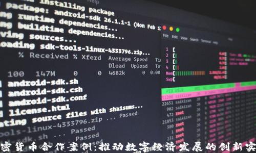 
加密货币合作案例：推动数字经济发展的创新实例