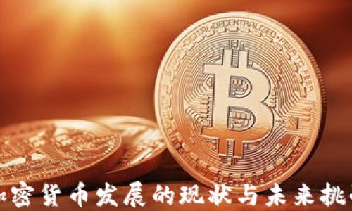 
加密货币发展的现状与未来挑战