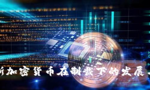 俄罗斯加密货币在制裁下的发展与挑战