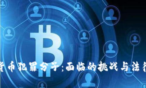 加密货币犯罪分子：面临的挑战与法律应对