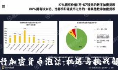   央行加密货币泡沫：机遇与挑战解析
