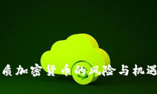 无资质加密货币的风险与机遇分析