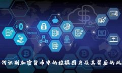 如何识别加密货币中的垃