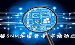 全面深入了解SNM加密货币