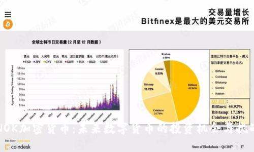 NOK加密货币：未来数字货币的投资机会与挑战