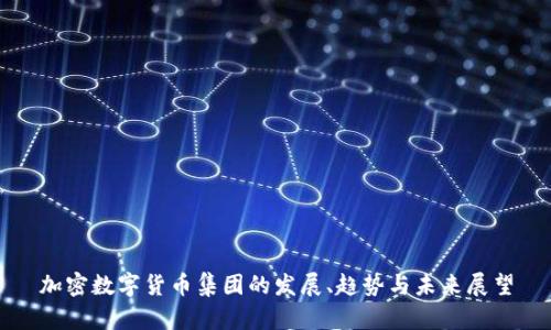加密数字货币集团的发展、趋势与未来展望