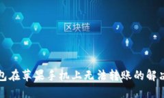 TP钱包在苹果手机上无法转