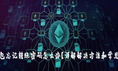 TP钱包忘记转账密码怎么办
