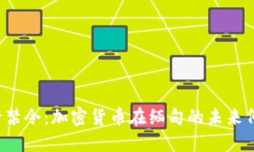 缅甸央行禁令：加密货币在缅甸的未来何去何从？