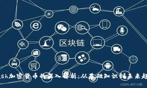 Dash加密货币的深入解析：从基础知识到未来趋势