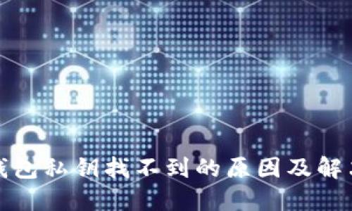 : TP钱包私钥找不到的原因及解决方法