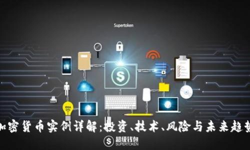 加密货币实例详解：投资、技术、风险与未来趋势
